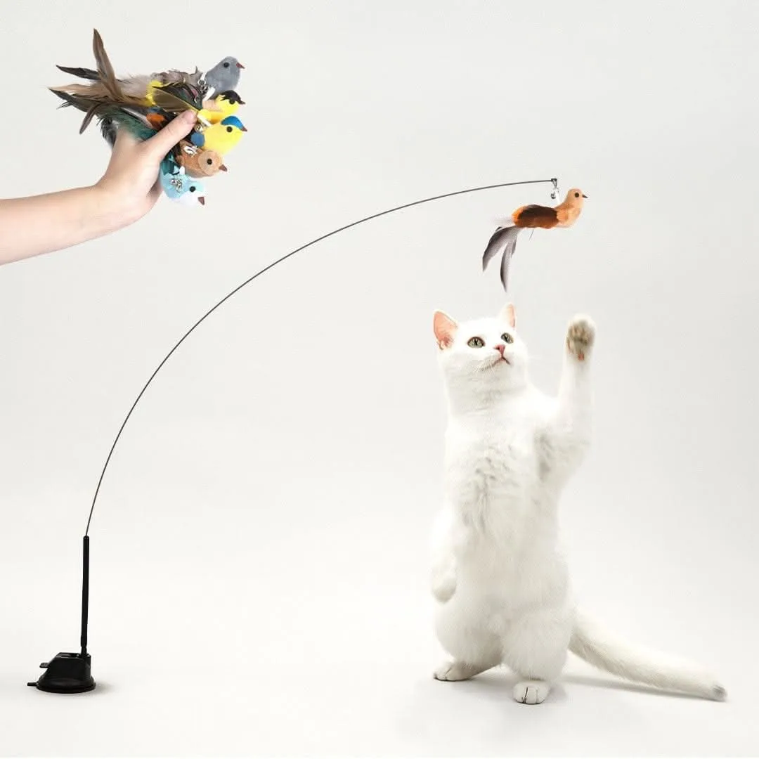 Interactive Bird Simulation Cat Toy