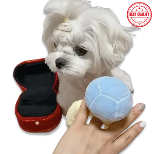 Interactive Dog Toy Ring – Voice Squeaker & Treat Dispenser