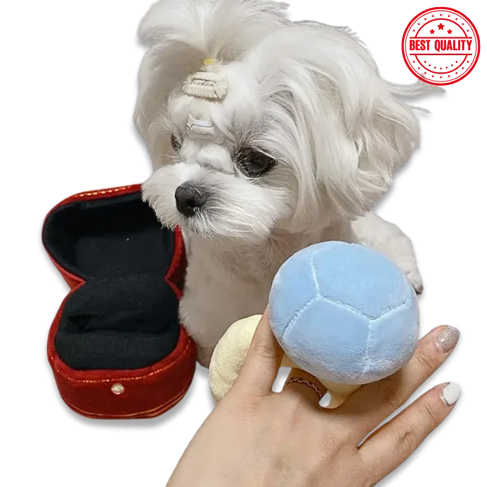 Interactive Dog Toy Ring – Voice Squeaker & Treat Dispenser