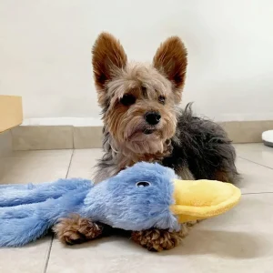 Interactive Squeaky Dog Toy – Durable Chew Toy for All Dogs