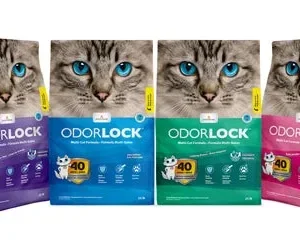 Intersand Odorlock Baby Powder Cat Litter, 13.2 lb