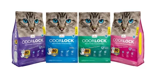 Intersand Odorlock Baby Powder Cat Litter, 13.2 lb