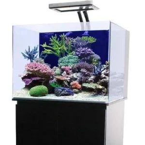 JBJ 30 Gallon Nano Cube – Fresh or Saltwater Glass Aquarium (RL-30)