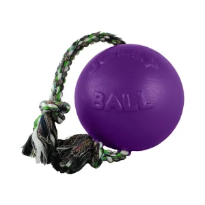 Jolly Pets Romp-N-Roll Ball - Purple Medium