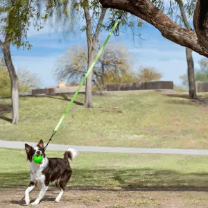 Jolly Pets Tree Tugger Bungee Large - Outdoor Interactive Tug Dog Toy for Dogs