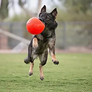 Jolly Soccer Balls