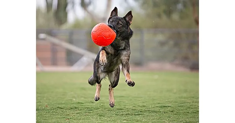 Jolly Soccer Balls