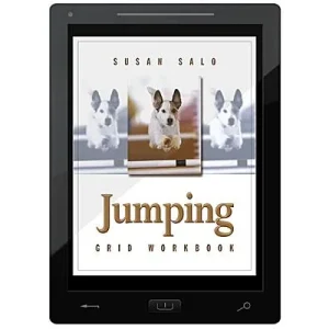 Jumping Grid Workbook E