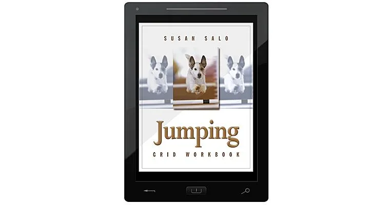 Jumping Grid Workbook E