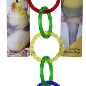 JW Insight Olympic Rings Bird Toy