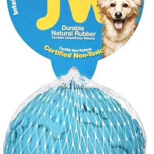 JW Pet Giggler Ball Dog Toy Assorted Large
