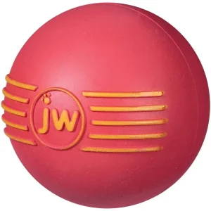 JW Pet iSqueak Ball Dog Toy Assorted Medium