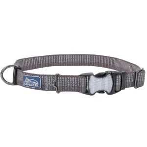 K9 Explorer® Brights Reflective Adjustable Dog Collar, Red Small