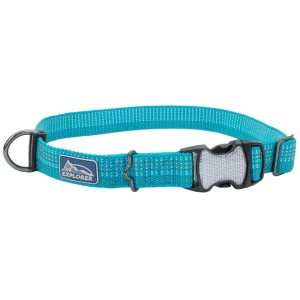 K9 Explorer® Brights Reflective Adjustable Dog Collar, Teal X-Small