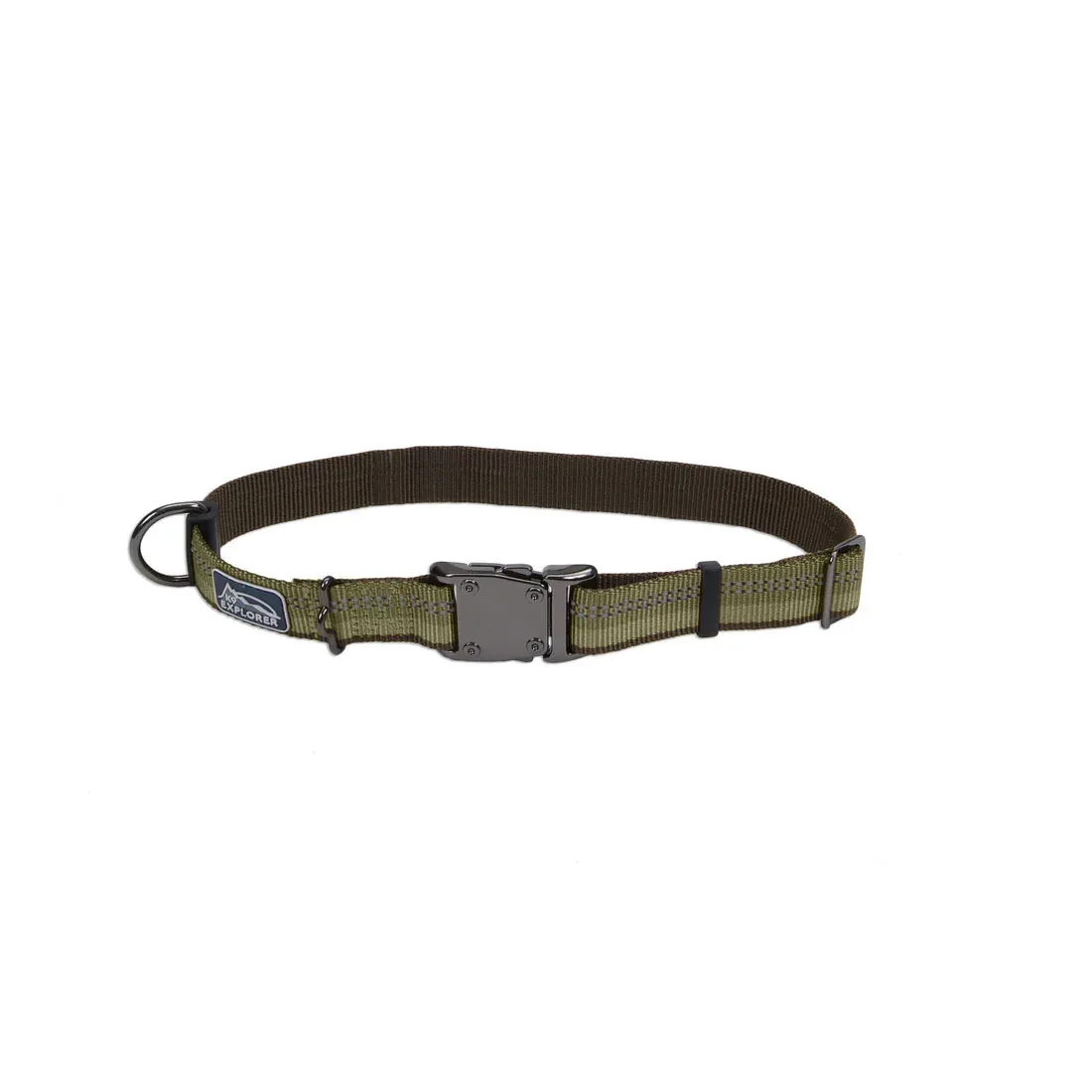 K9 Explorer® Reflective Adjustable Dog Collar, Fern Medium