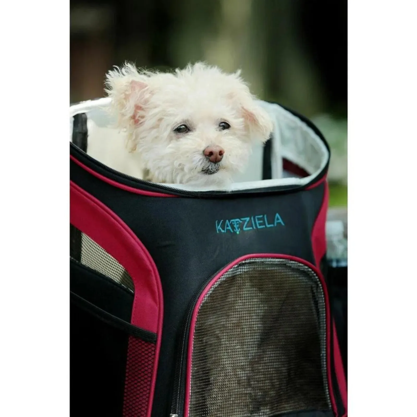 Katziela Voyager Backpack Black/Red - Image 2