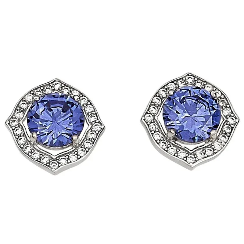 Kelly Herd Blue with Clear Accents Earrings