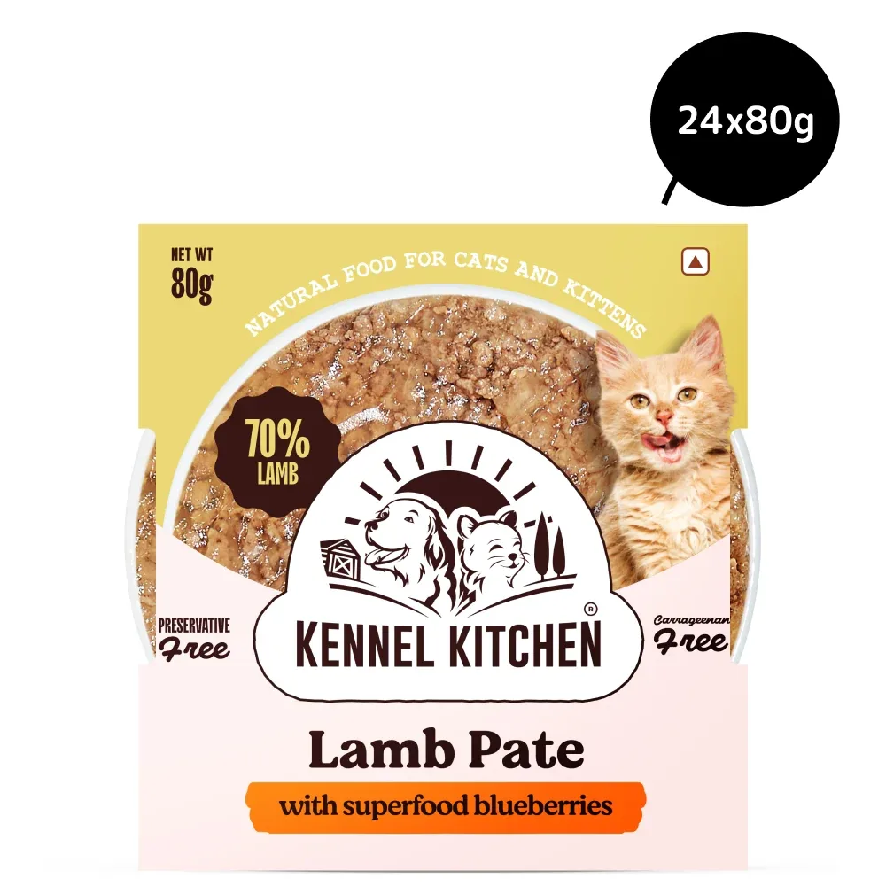Kennel Kitchen Lamb Pate with Superfood Blueberries Cat Wet Food - Image 2