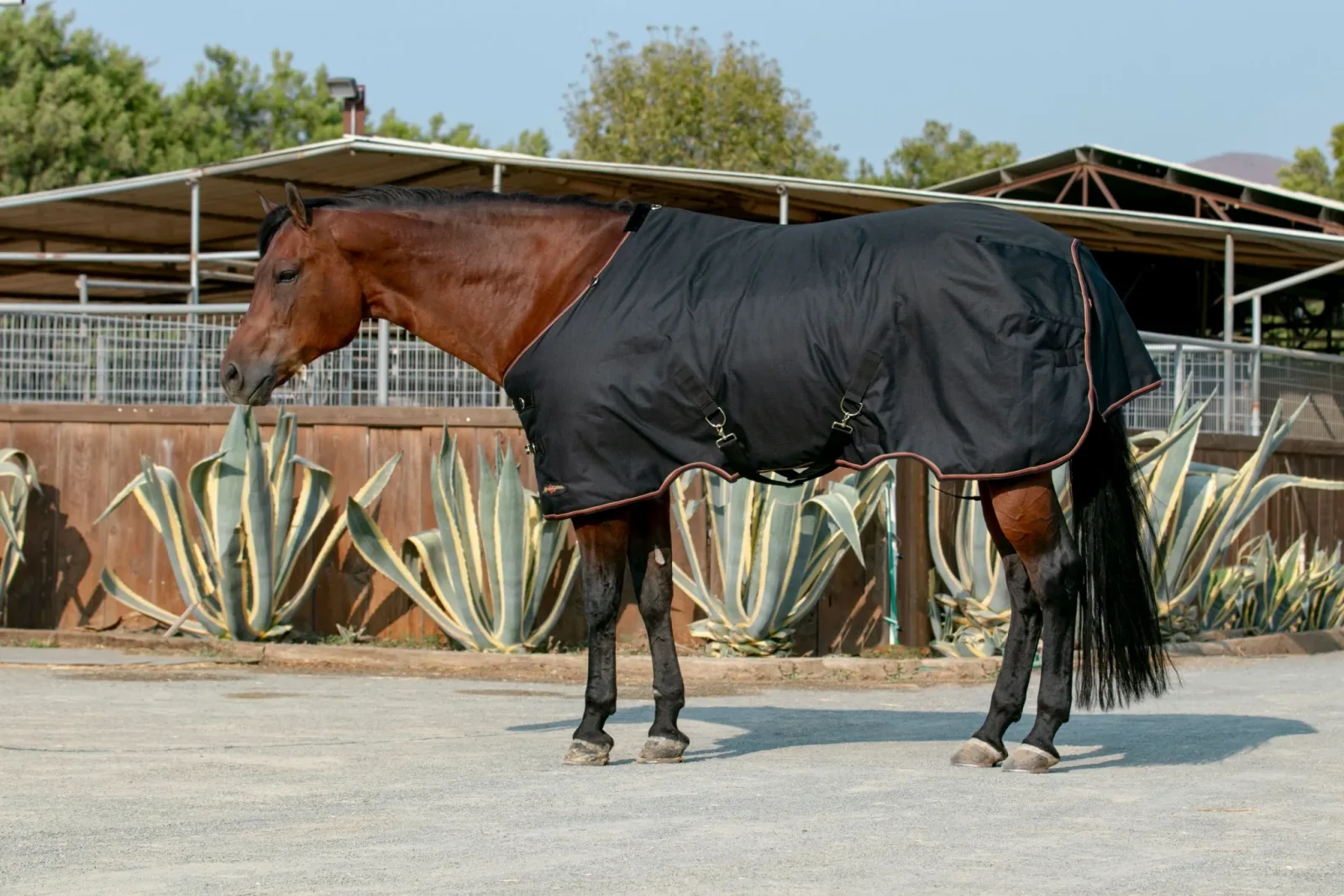 Kensington 1200D Turnout 180g - Image 2
