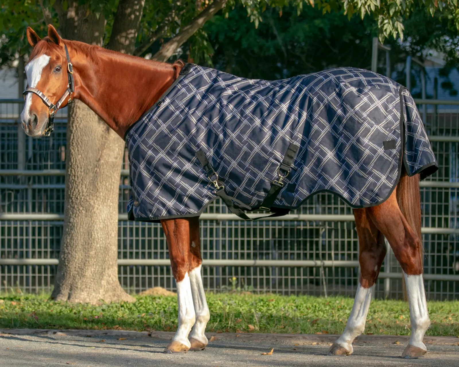 Kensington™ Signature Heavyweight Turnout Blanket