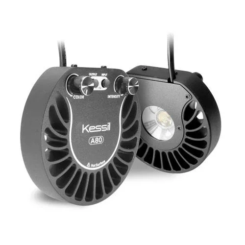 Kessil A80 Tuna Blue LED