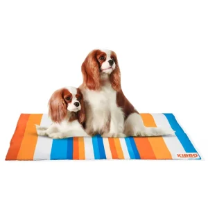 Kibbo Lightweight and Portable Mats for Dogs and Cats (Orange/Blue)