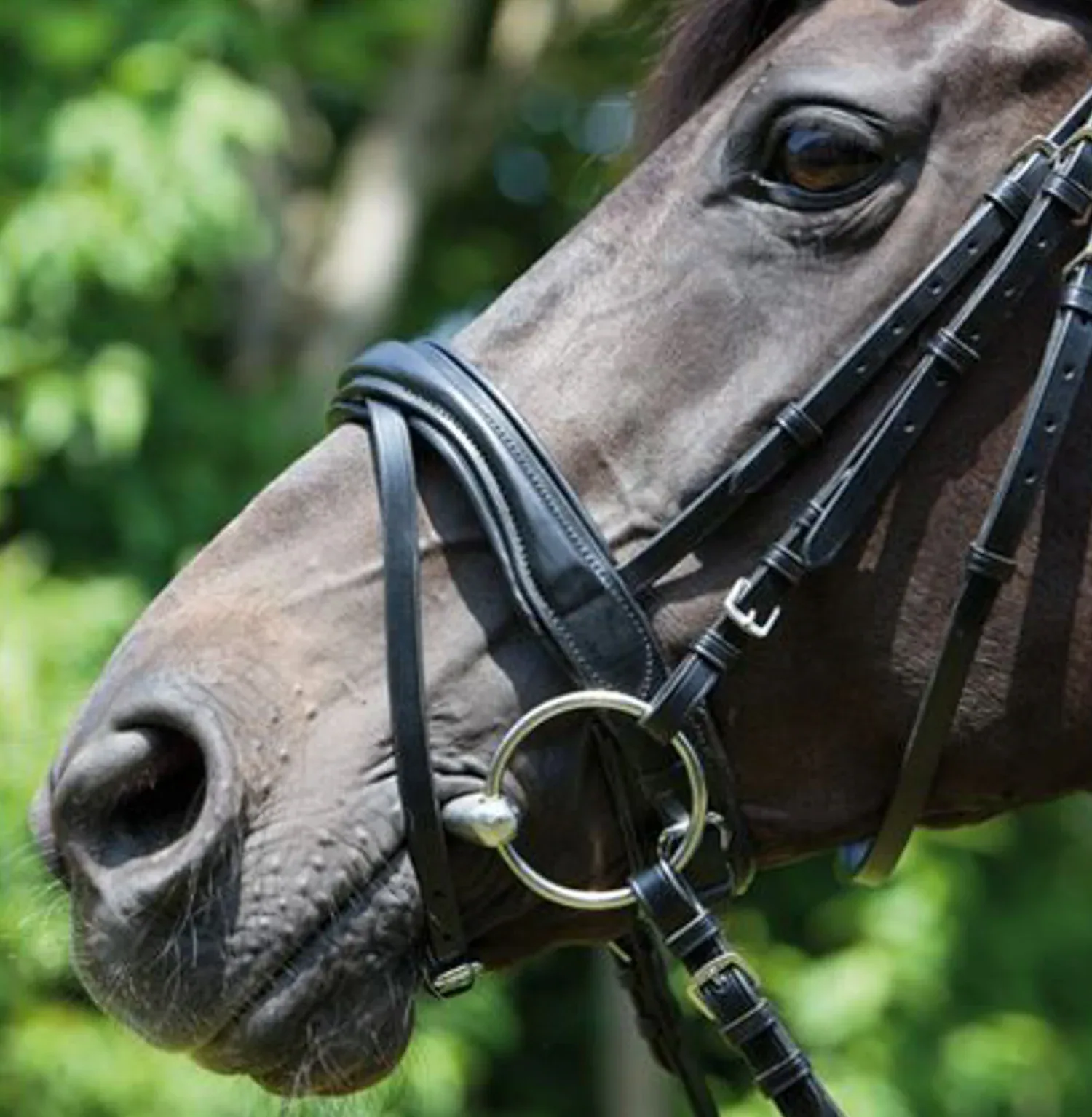 Kieffer Perseus Snaffle Bridle with Plain Browband - Image 2