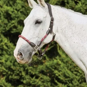 Kincade Leather Rope Headcollar