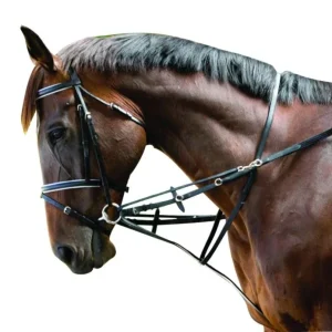 Kincade Web German Martingale Set Full Black