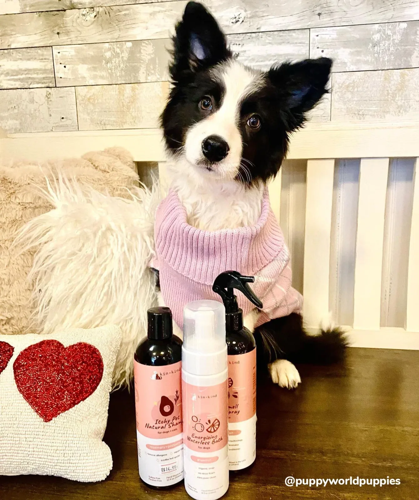 Kin+Kind Pet Shampoo Itchy Pet Rosemary+Peppermint 12 oz - Image 2