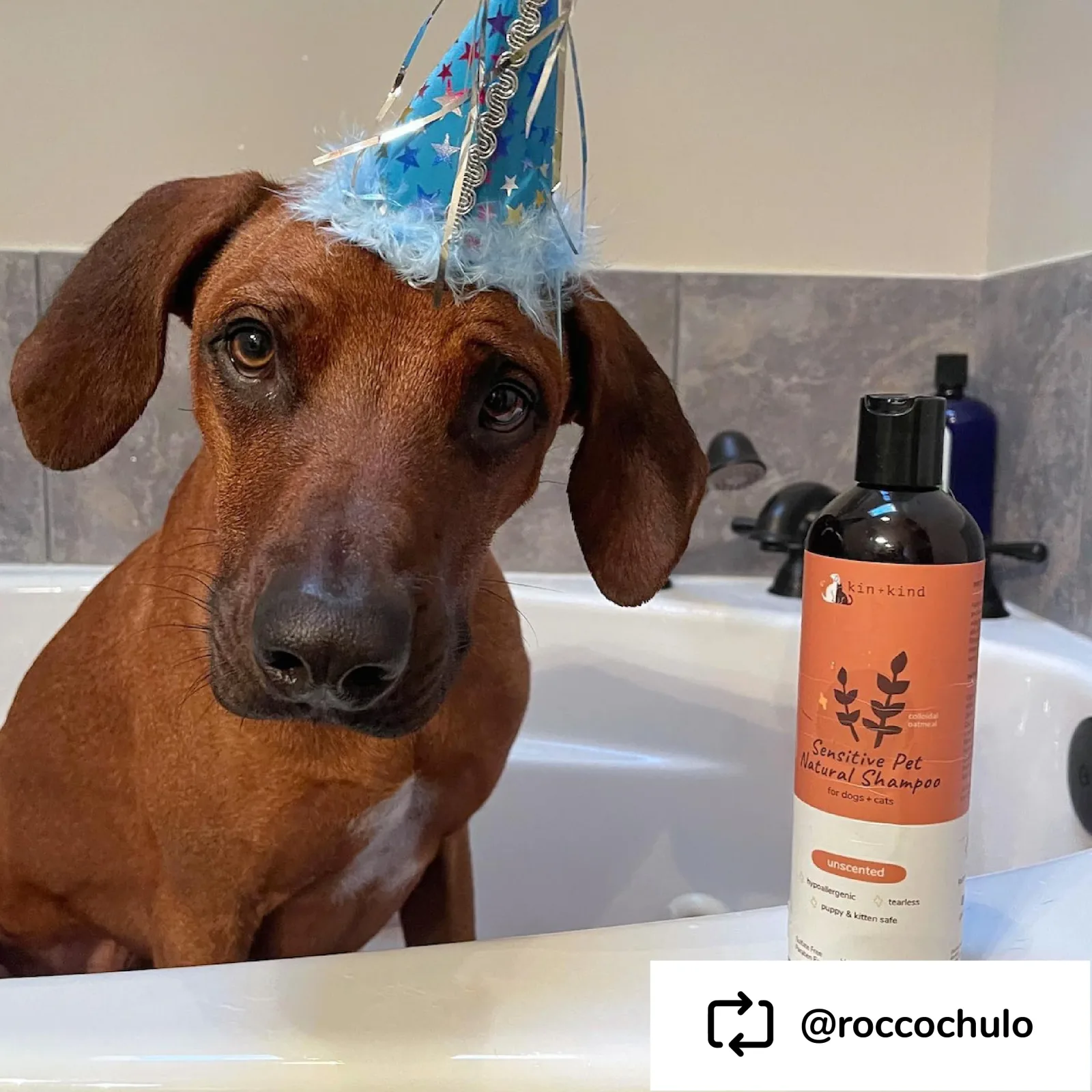 Kin+Kind Sensitive Skin Unscented Oatmeal 12 oz. Natural Pet Shampoo Puppy/Kitten Safe - Image 2