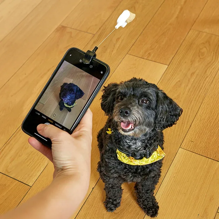 Kobe Dog Treat Selfie Clip - Image 2