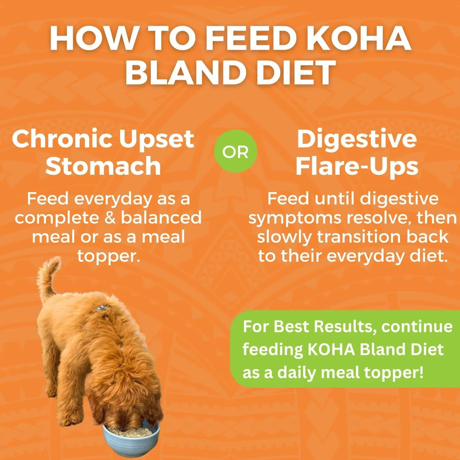 Koha Dog Bland Diet Chicken Rice 12.5 oz. 6 ct - Image 2