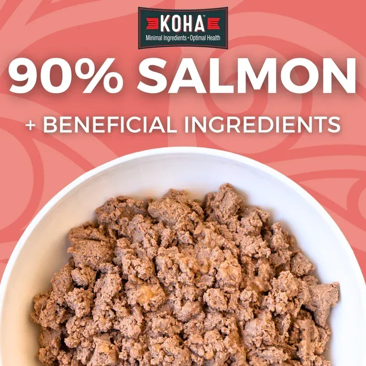 Koha Dog Limited Ingredient Grain-Free 90% Salmon, 13 oz each, Case of 12 - Image 2