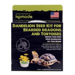 Kom Trt Grow Dandelions 6.5in
