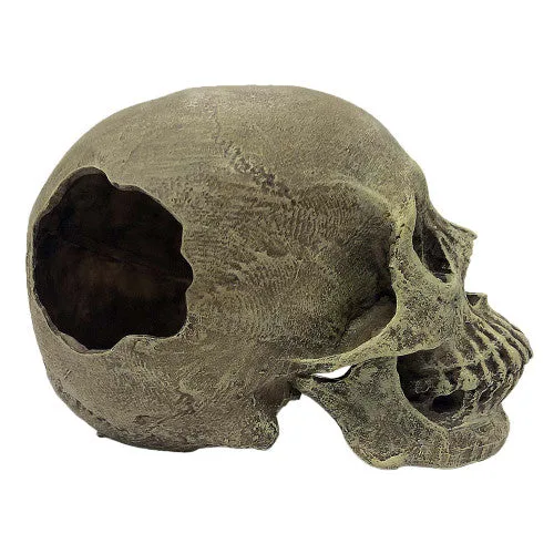 Komodo Full Human Skull Reptile Hideout Gray One Size - Image 2