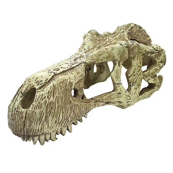 Komodo T-Rex Skull For Reptile Habitat, XL