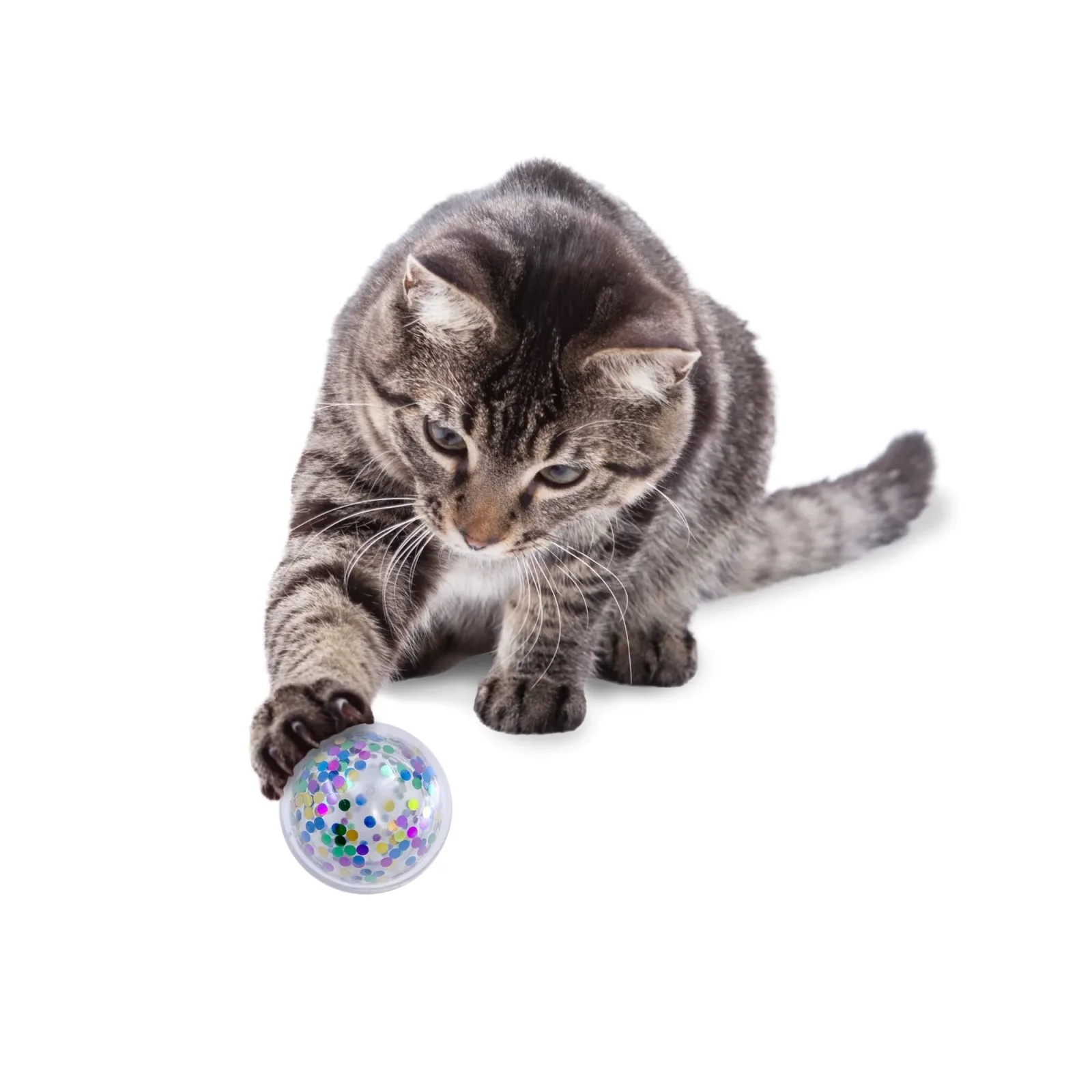 KONG Active Confetti Ball Cat Toy, 2-Count - Image 2