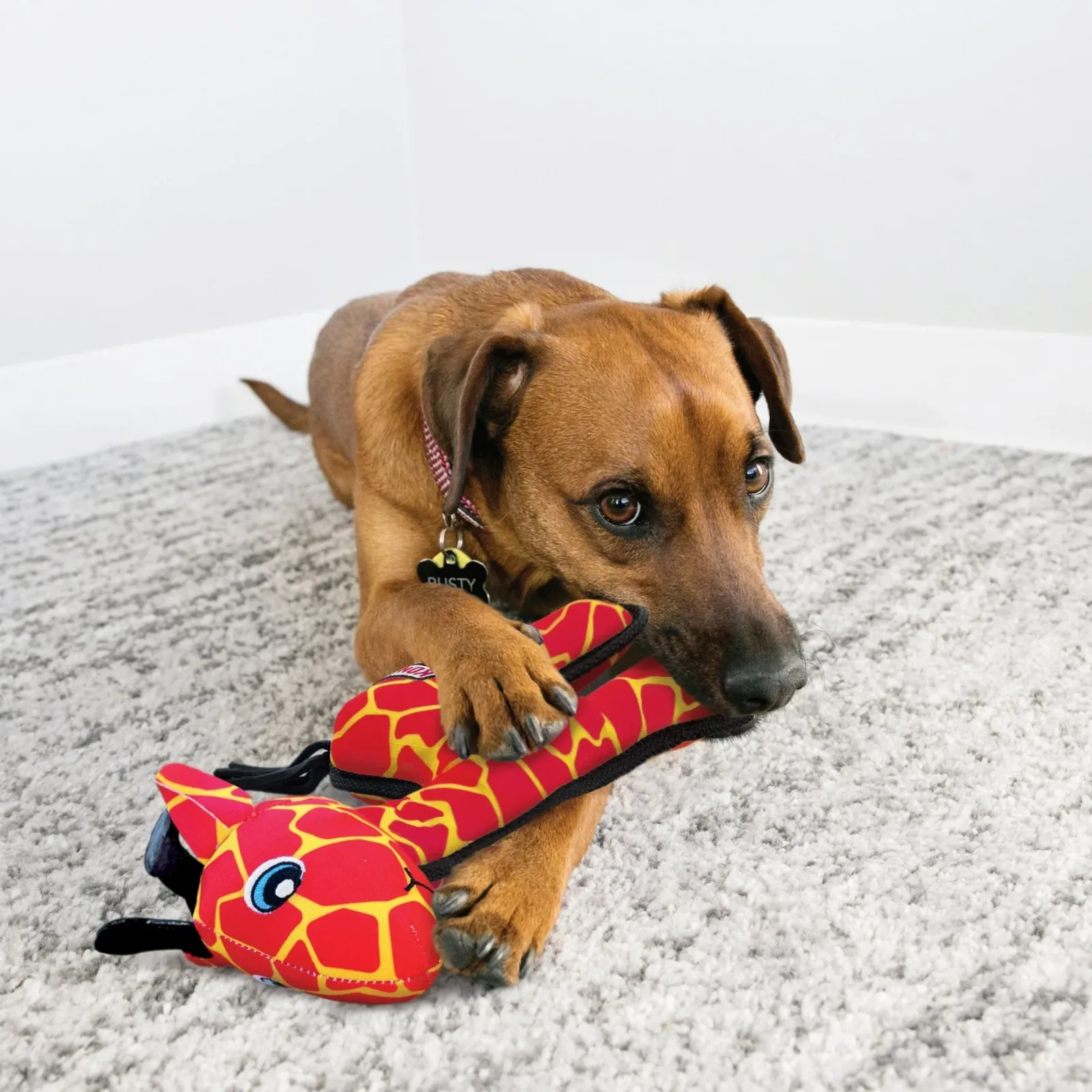 KONG Ballistic Dog Toy Giraffe, Medium/Large, 2-Count - Image 2