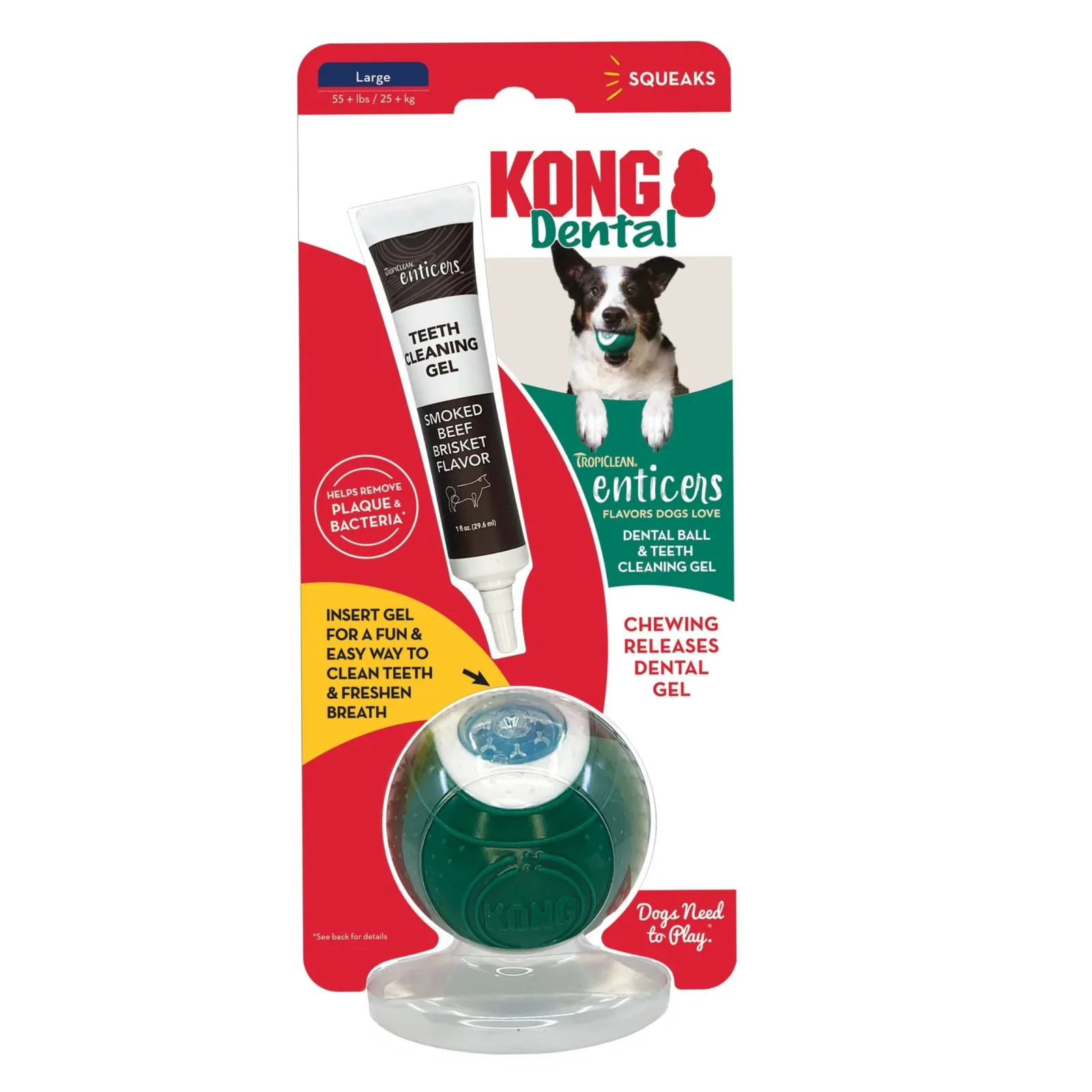KONG Dental Ball with TropiClean Teeth Cleaning Gel, Honey Chicken, Large