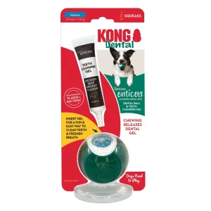 KONG Dental Ball with TropiClean Teeth Cleaning Gel, Honey Chicken, Medium
