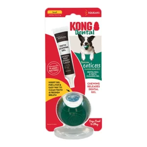 KONG Dental Ball with TropiClean Teeth Cleaning Gel, Honey Chicken, Small