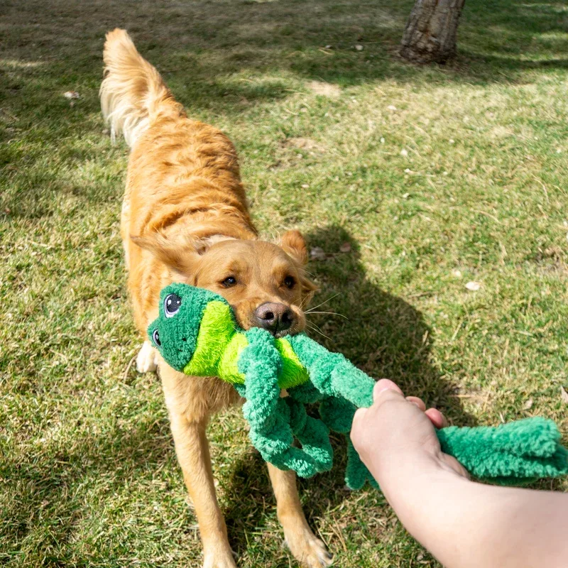KONG Knots Frog Large/Extra Large Dog Toy - Image 2