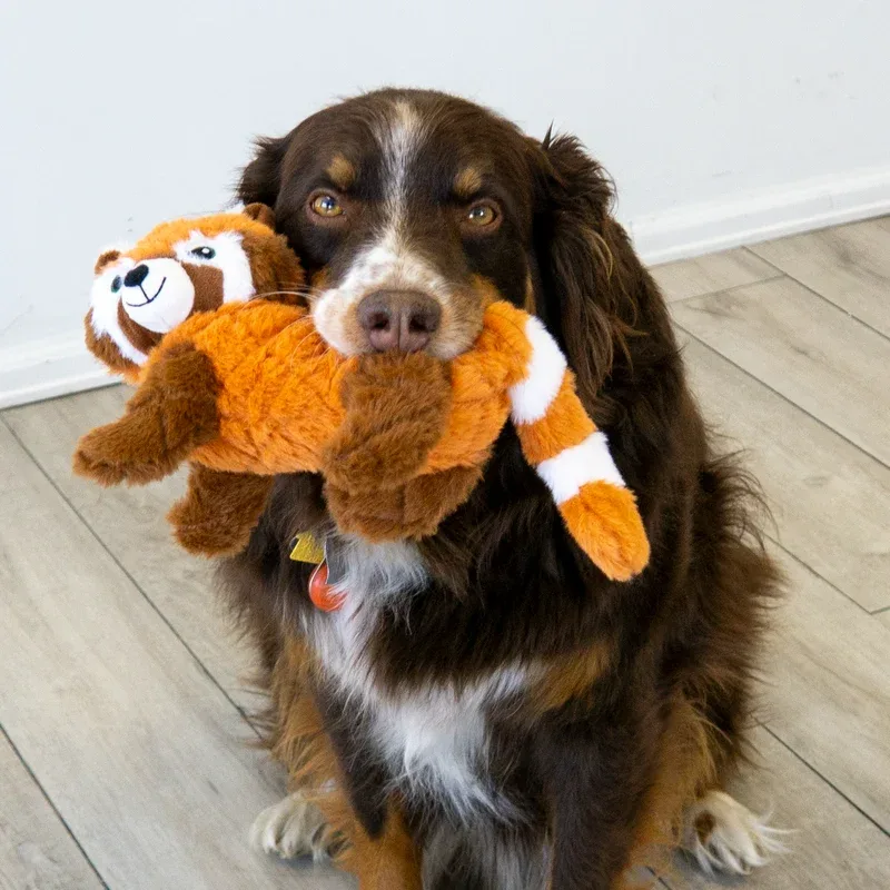 KONG Scampers Red Panda Medium Dog Toy - Image 2