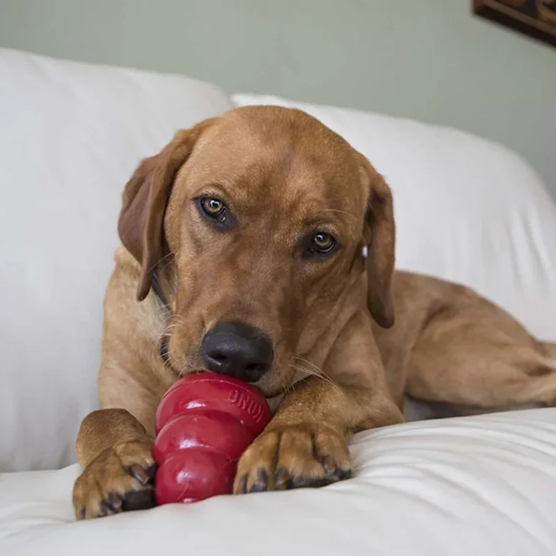 KONG Snacks® Liver Large Dog Treat - Image 2