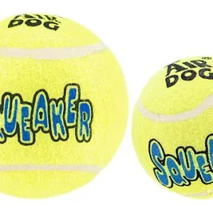 Kong Squeaker Balls