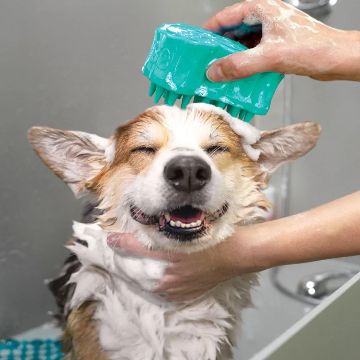 KONG ZoomGroom Bubbles Soap-Dispensing Dog Grooming Brush, Large - Image 2