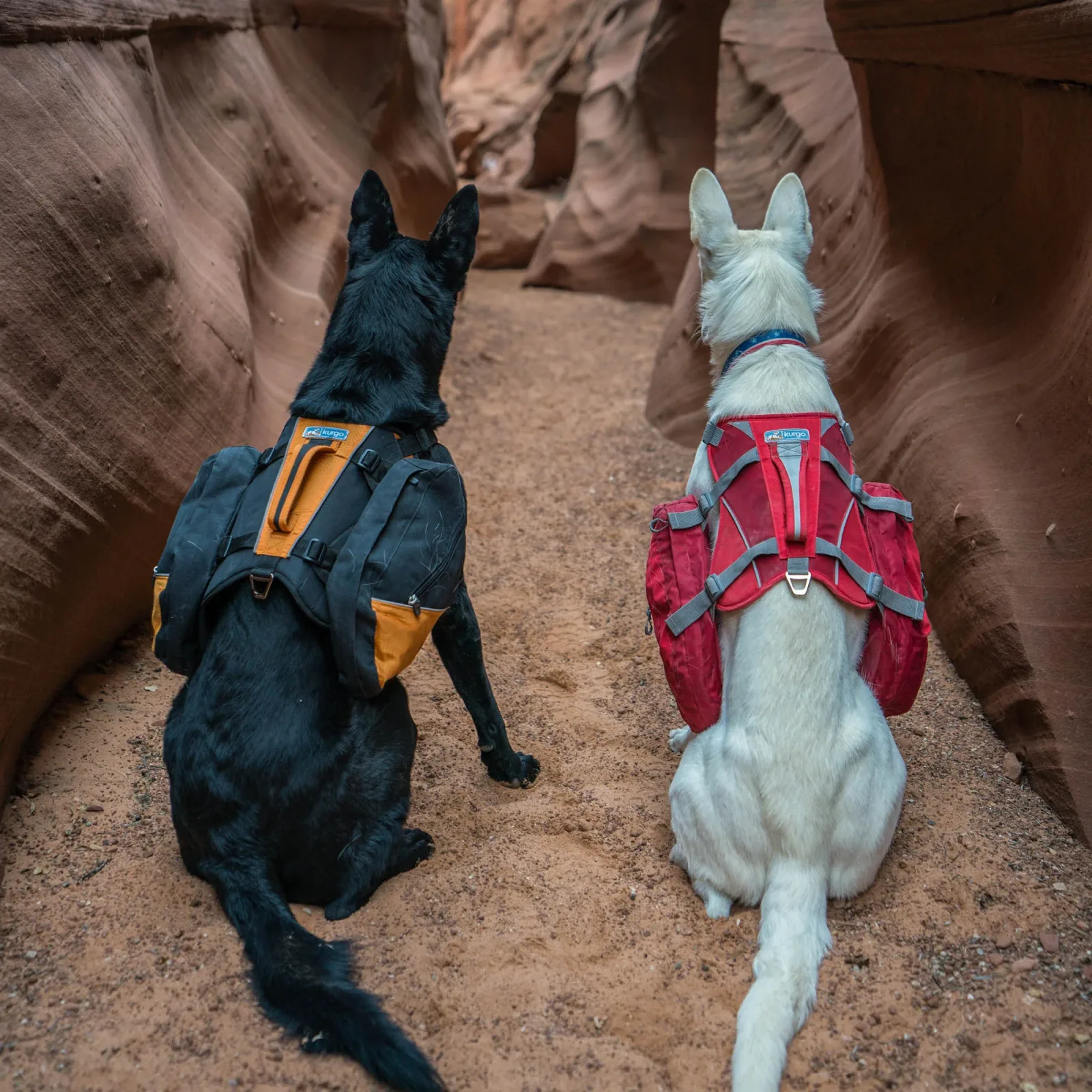 Kurgo Big Baxter Dog Backpack - Orange - Image 2