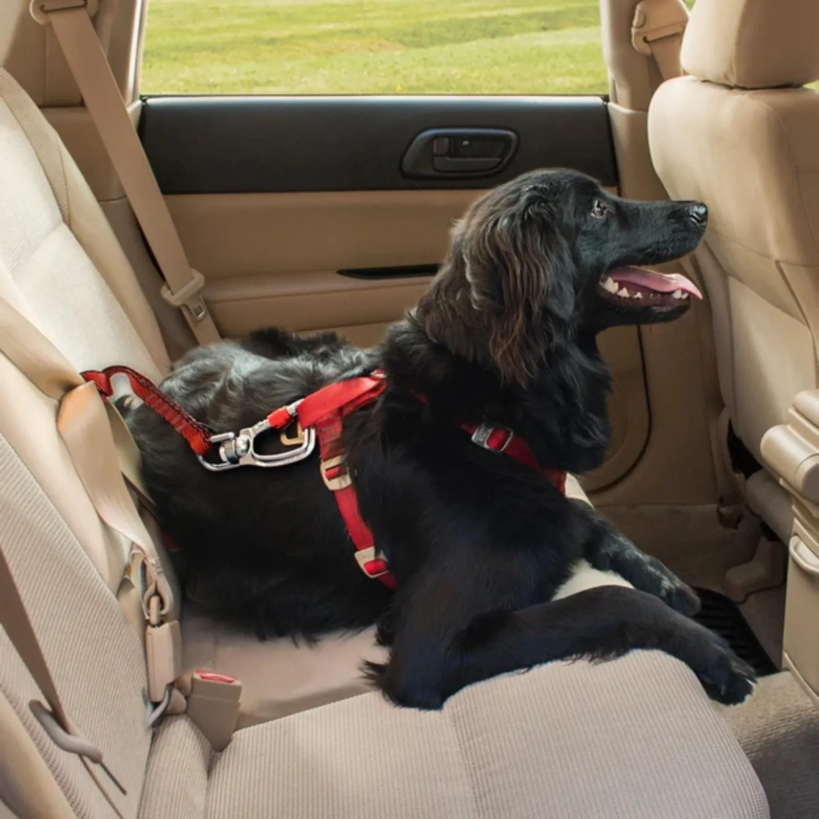 Kurgo Dog Seat Belt Swivel Teather - Image 2