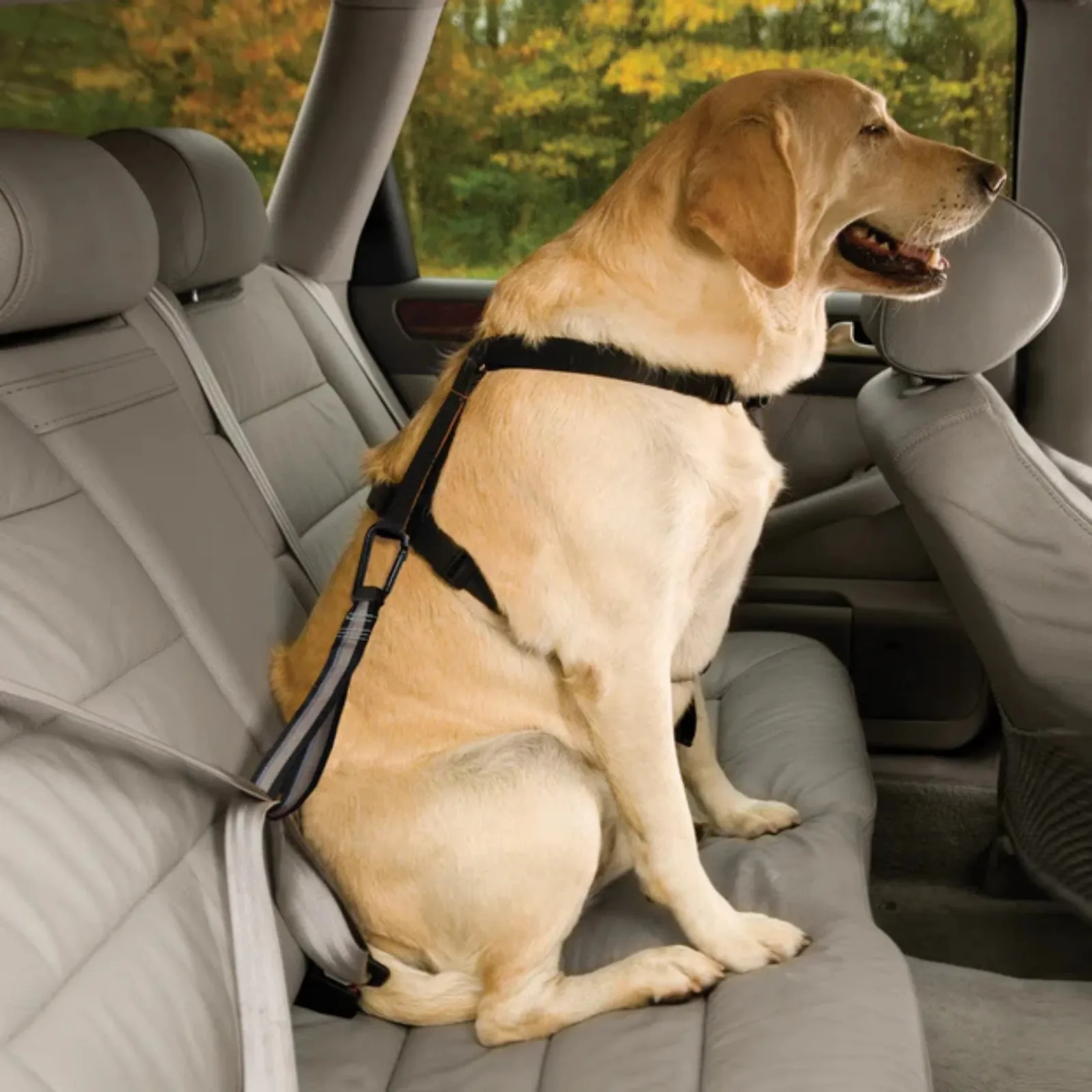 Kurgo Dog Seat Belt Tether Carabinar